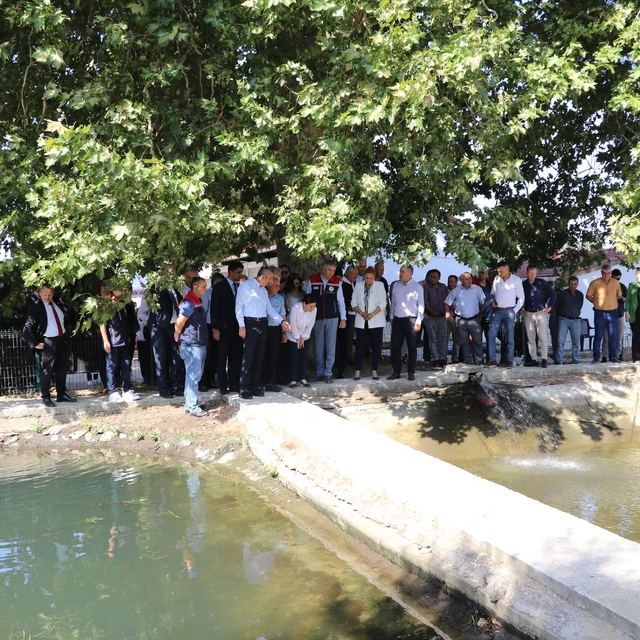 Edirne'deki üretim tesisinde 2024'te 10 milyon sazan balığı yavrusu üretild...