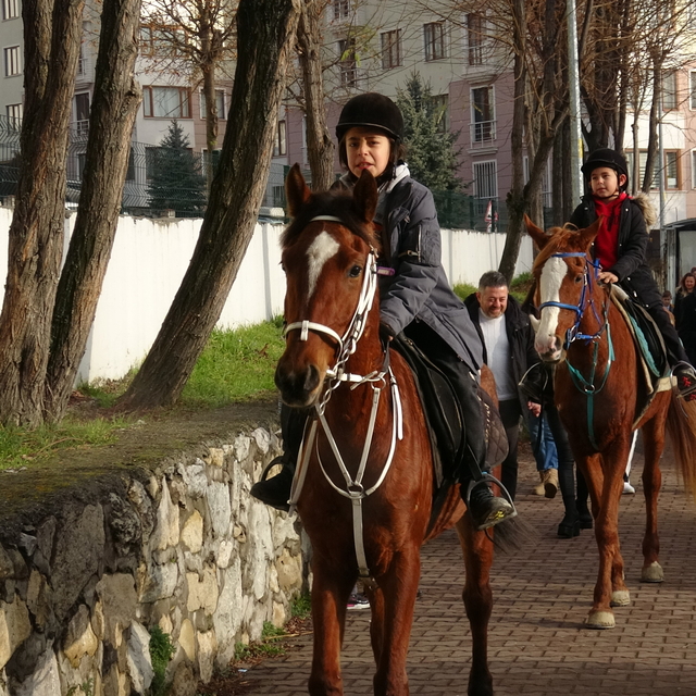 Karabük'te 2 kardeş karne almaya at üstünde gitti