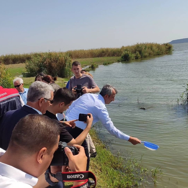 Edirne'de 2024 yılında 10 milyon sazan balığı yavrusu üretildi