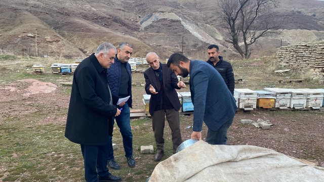 Batman'da sepet kovanı desteği verilen arıcıların kovanları incelendi