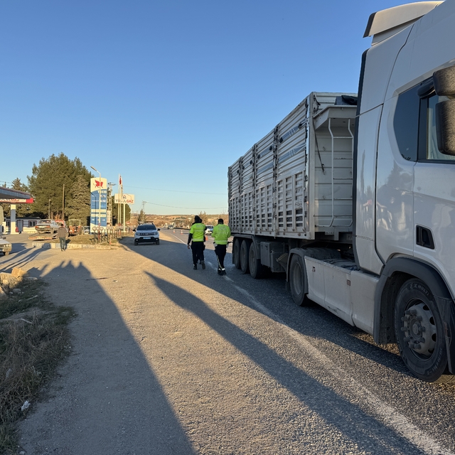 Adıyaman'da tırın çarptığı yaya öldü