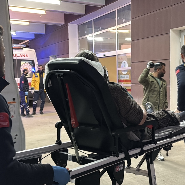 Adıyaman'da tırla çarpışan otomobildeki 4 kişi yaralandı