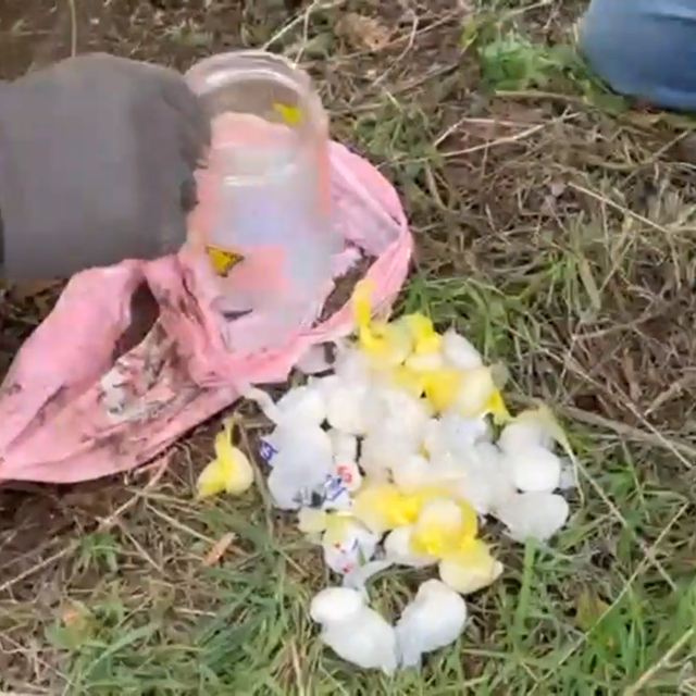 Uyuşturucuyu kavanozla evinin bahçesine gömen kadın tutuklandı