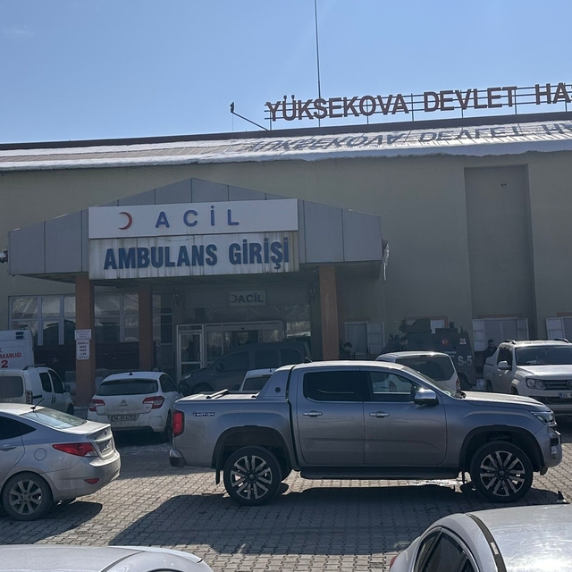 Hakkari'de sahipsiz köpeklerin saldırısına uğrayan çocuk, ağır yaralandı