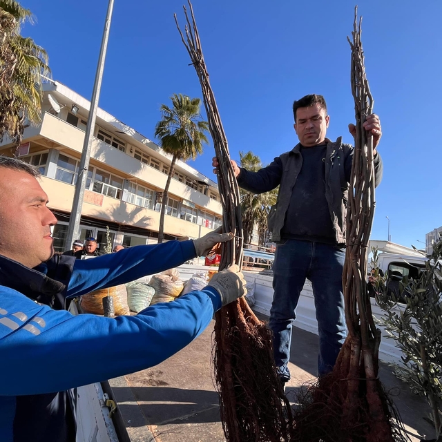 Dalaman'da yangından etkilenen üreticilere zeytin ve ceviz fidanı dağıtıldı