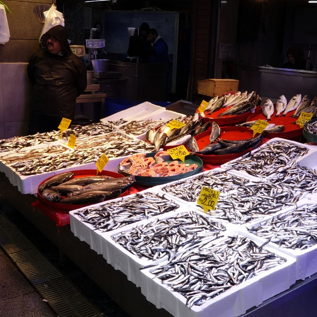 Trabzon'da hamsi bereketi