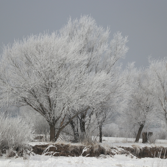 Ağrı'da soğuk hava etkili oldu