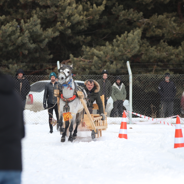 Erzurum'da, Geleneksel Atlı Kızak Şöleni düzenlendi
