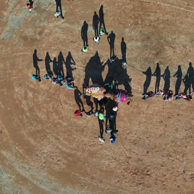 43. Efes Selçuk Deve Güreşi Festivali yapıldı