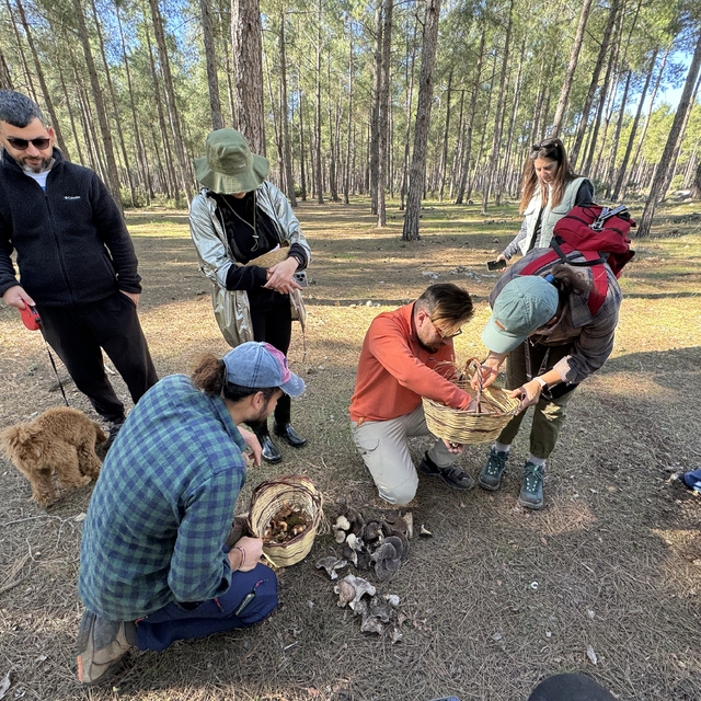 Mantar meraklıları Antalya'da buluştu