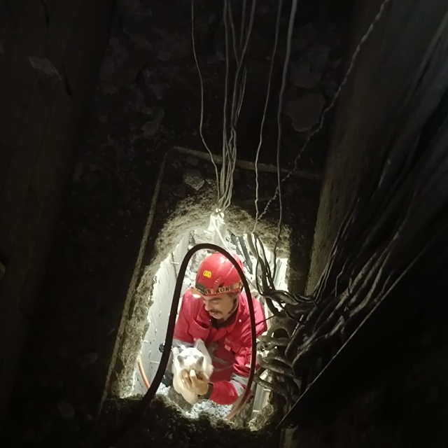 Hatay'da havalandırma boşluğuna düşen kediyi itfaiye kurtardı