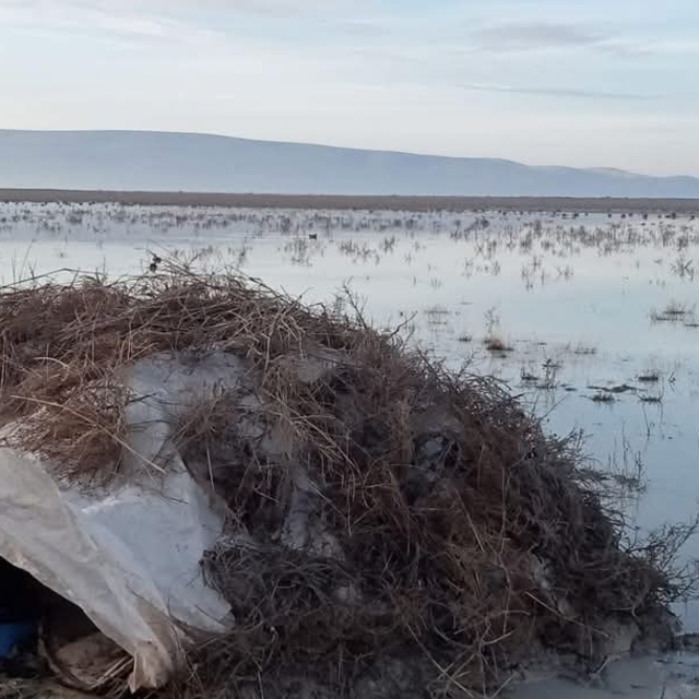 Konya'da yasa dışı ava 134 bin 916 lira para cezası