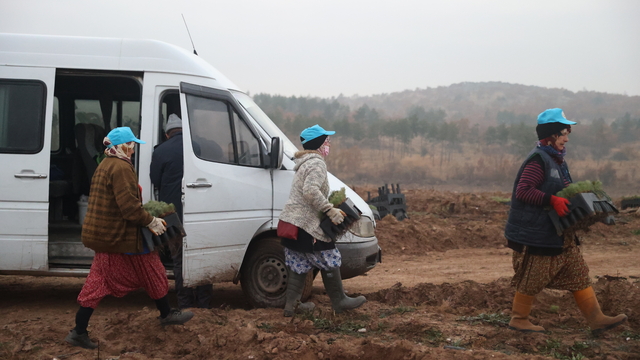 Kırklareli'nde fidanlar kadınların ellerinde yeşeriyor