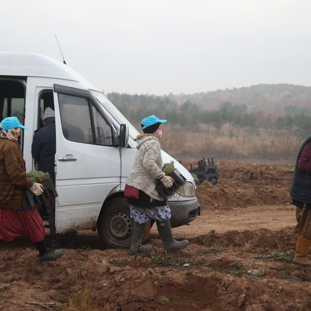 Kırklareli'nde fidanlar kadınların ellerinde yeşeriyor