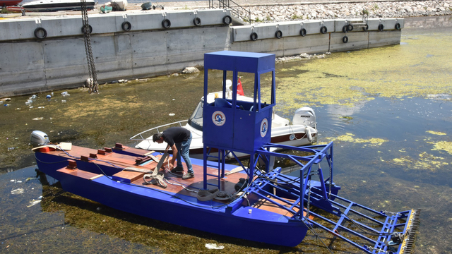 'Eğirdir Gölü'ndeki su bitkilerini ortadan kaldırmak, ormandaki ağaçları yok etmekle eş değer'
