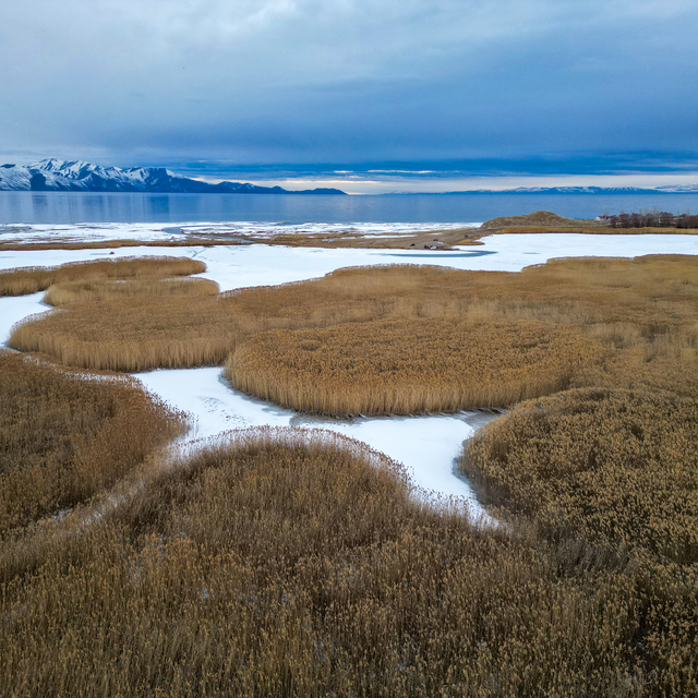 Van'daki Dilkaya Sazlığı'nın büyük bölümü buzla kaplandı