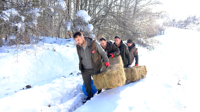 Kırklareli'nde Yıldız Dağları'ndaki yaban hayvanları için doğaya yem bırakıldı