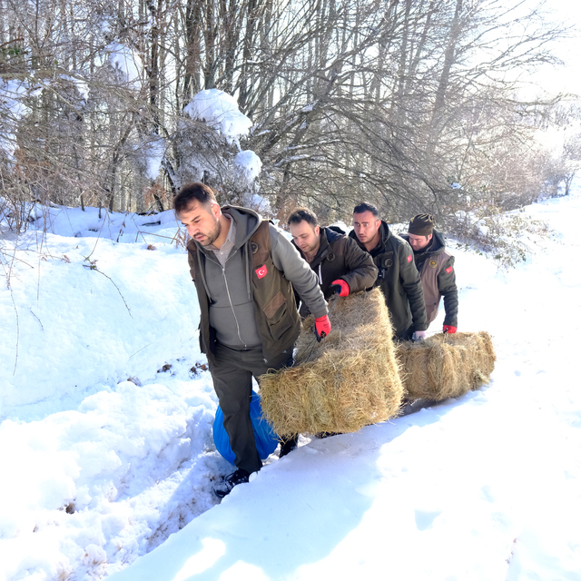 Kırklareli'nde Yıldız Dağları'ndaki yaban hayvanları için doğaya yem bırakı...