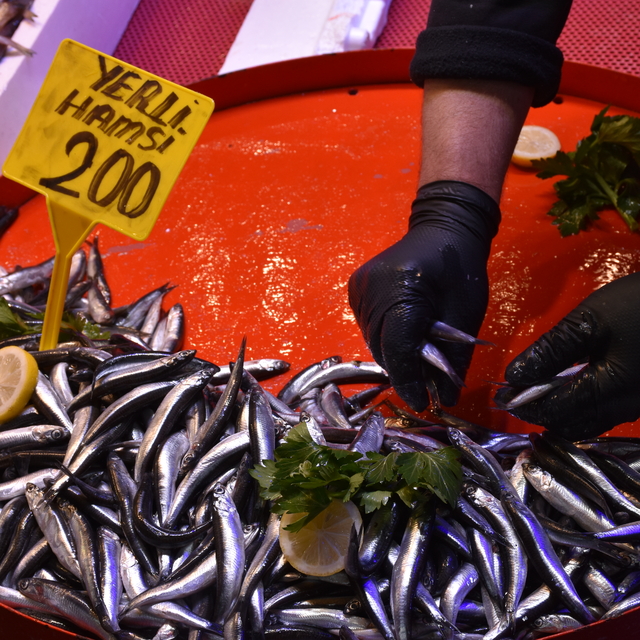 Trabzon'da hamsinin kilogramı 150 ile 200 lira arasında satışa sunuluyor