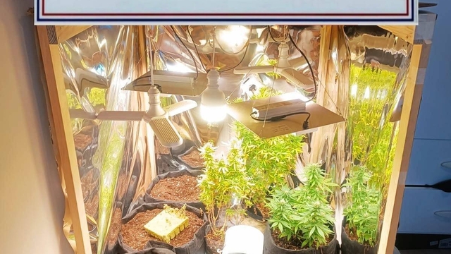 Balıkesir'de jandarmanın operasyonlarında yakalanan 7 şüpheli tutuklandı