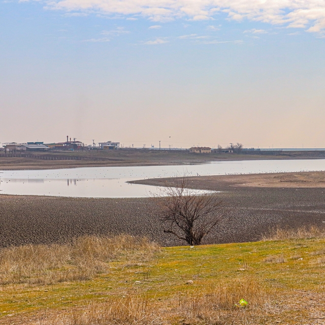 150 kuş türünün barındığı gölette su çekildi: Kurursa o kuşları da kaybeder...