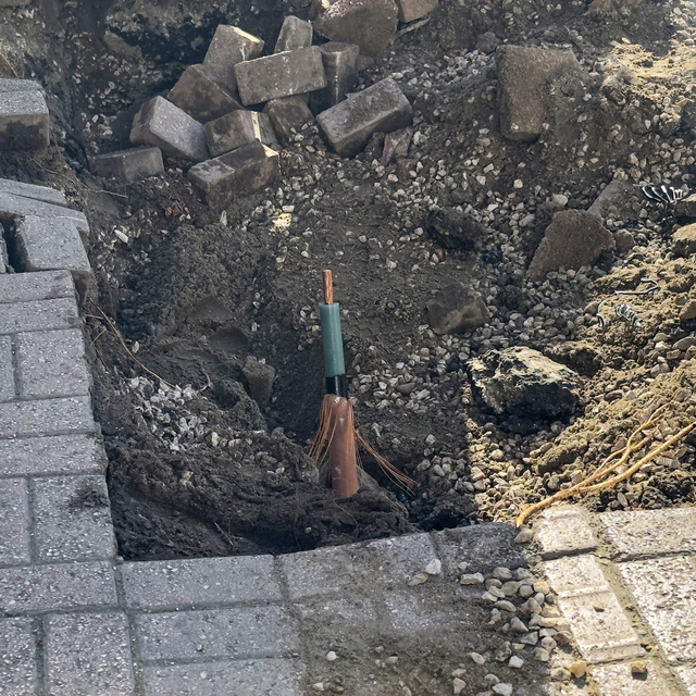 Adana'da ağaç sökümü sırasında elektrik kablolarının kopması sonucu çıkan y...