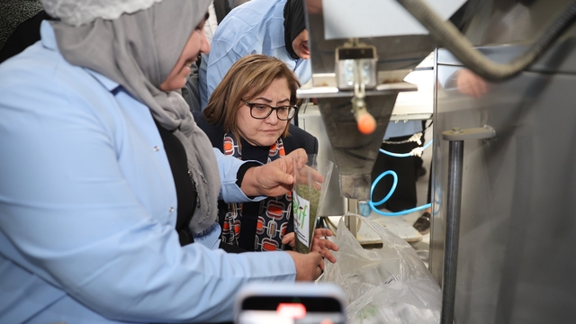 Gaziantep'te nane eleme ve paketleme tesisi açıldı