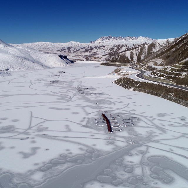En düşük sıcaklık Van'da ölçüldü; Zernek Baraj Gölü dondu