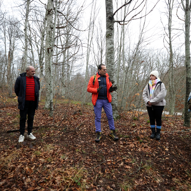 Sağlıklı yaşamak isteyenlerin yeni rotası "orman banyosu"