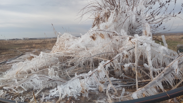 Şanlıurfa'da soğuk hava etkili oldu