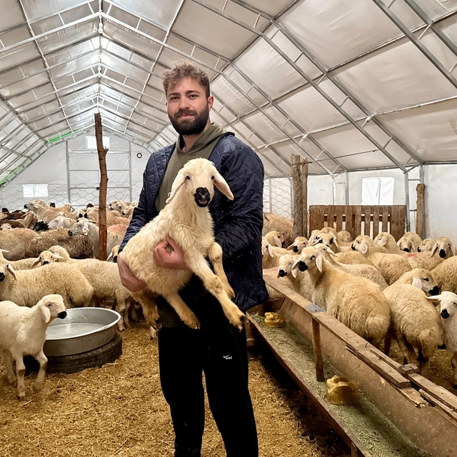 Genç girişimci devlet desteğiyle küçükbaş hayvan yetiştiriciliğine adım att...