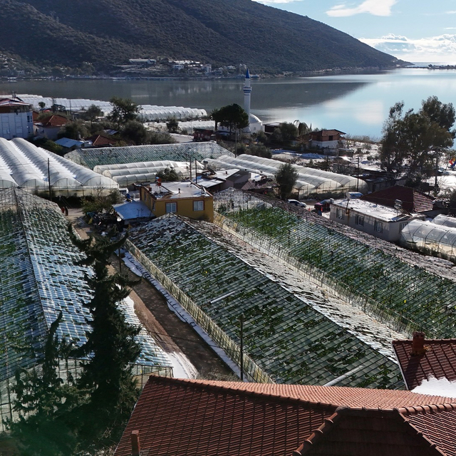 Şiddetli dolu ve yağmur, 200 dönüm seraya zarar verdi
