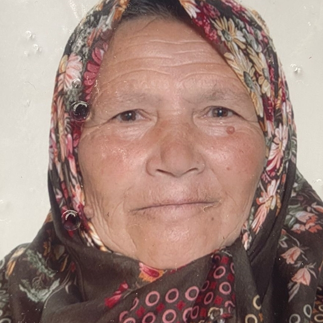 Bolu'da kaybolan kadının bulunması için arama çalışması yapılıyor