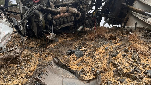 Çankırı'da şarampole devrilen buğday yüklü tırın sürücüsü yaralandı