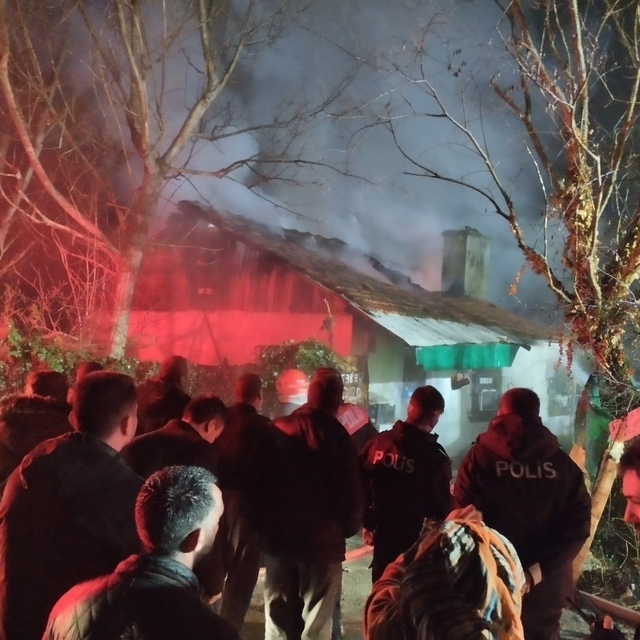 Evde başlayan yangın ahıra sıçradı; 4 büyükbaş öldü