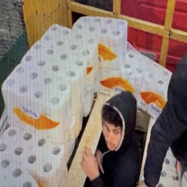 Düzensiz göçmenleri "kağıt havlular" arasında saklayan suç örgütüne hapis c...