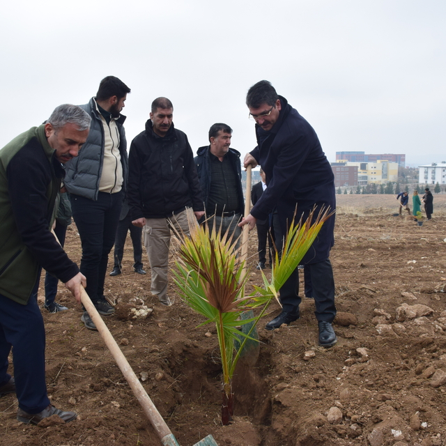 AK Parti Batman Milletvekili Nasıroğlu fidan dikim etkinliğine katıldı