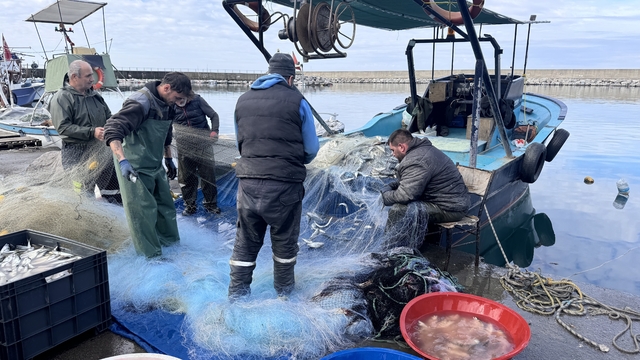 Zonguldak'ta balıkçılar limana yaklaşık 2 ton lüferle döndü