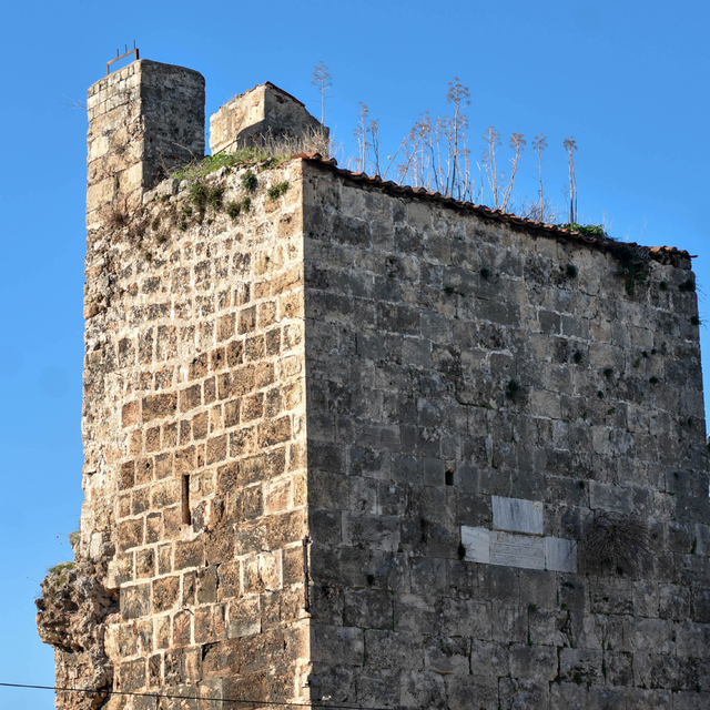 Binlerce yıllık sur ve burçlar 'yeşerdi'