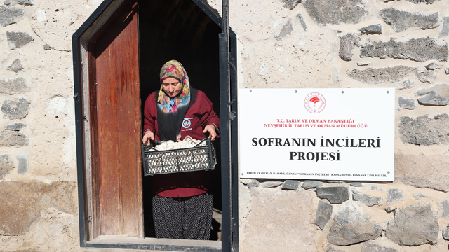 Kooperatif kuran girişimci kadınlar kaya odalarda mantar üretiyor