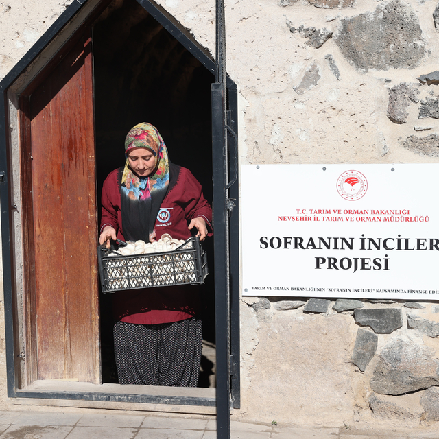 Kooperatif kuran girişimci kadınlar kaya odalarda mantar üretiyor