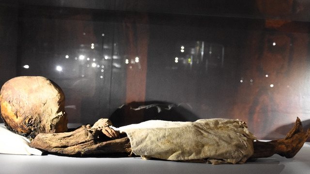 Mumyalarıyla ünlü Aksaray Müzesi, geçen yıl 20 bini aşkın ziyaretçiyi ağırladı