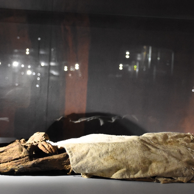 Mumyalarıyla ünlü Aksaray Müzesi, geçen yıl 20 bini aşkın ziyaretçiyi ağırl...