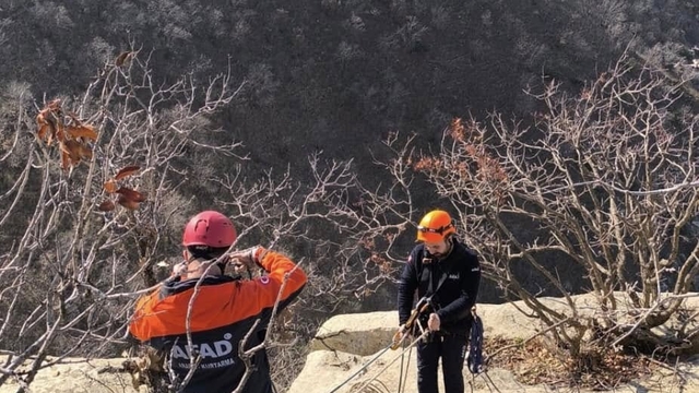 Siirt'te kayalıklarda mahsur kalan keçileri AFAD ekipleri kurtardı