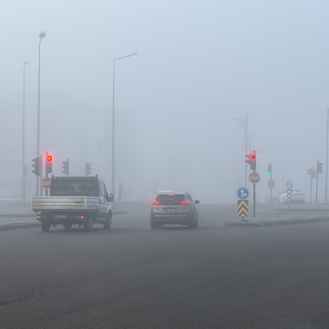 Sivas'ta yoğun sis etkili oldu