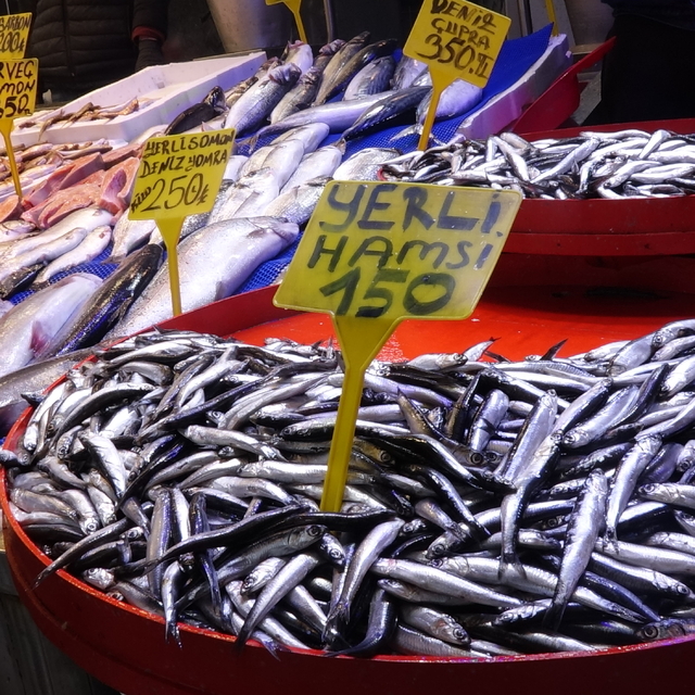 Trabzon'da balık tezgahlarında çeşit bolluğu