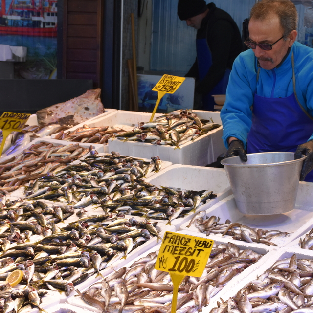 Trabzon'da balıkçı tezgahlarında mezgit ve istavritin kilogramı 100 liradan...