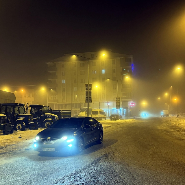 Ardahan'da sis etkili oldu