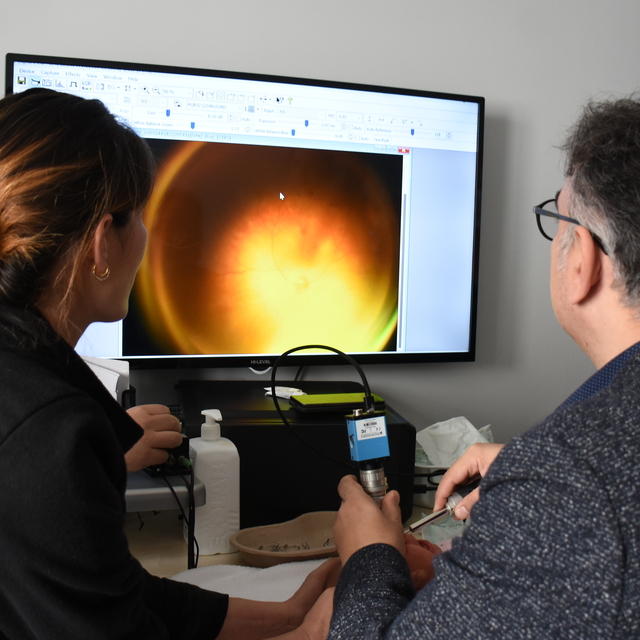 Prematüre bebeklerde körlüğe neden olabilen hastalığı erken teşhis eden cih...