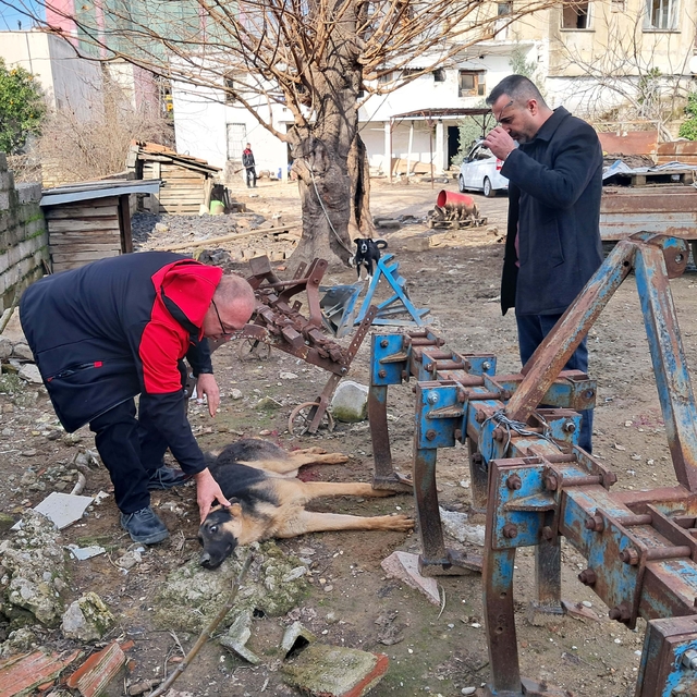 Hayvanlarına zarar verdiğini öne sürdüğü köpeği av tüfeğiyle vurdu